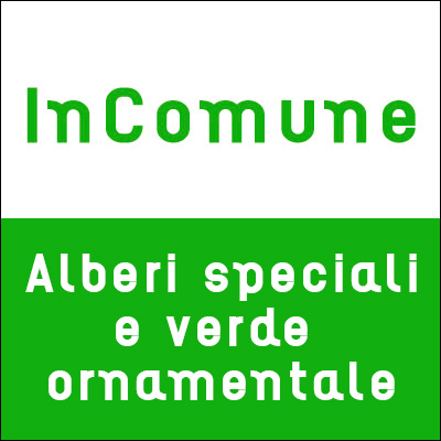 Alberi speciali e verde ornamentale